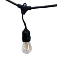 thumbnail image 1 of LED String 48ft, 1 of 4