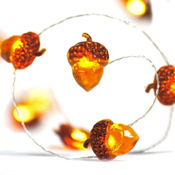 LED String Lights 20 LEDs Acorn Lights String Battery Powered 6.5ft Fairy Lights with Remote for Autumn Bedroom
