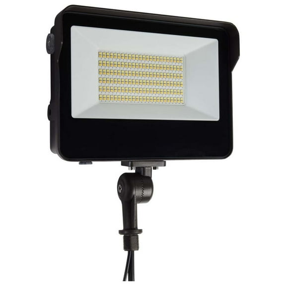 LED Tempered Glass Flood Light w/ CCT Tunable ColorQuick Bronze Finish