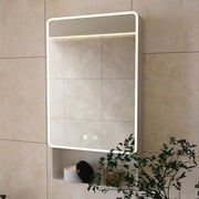 LED bathroom medicine cabinet with single-color warm light,Anti-fogging ,Easy to install Aluminum-plastic cabinet.19.69*27.56 One Door