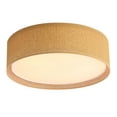 thumbnail image 1 of LEDET 15.7 in. Sepia Ceiling Light Rattan Weaving Shade Home Decor Pendant Lamp, 1 of 7