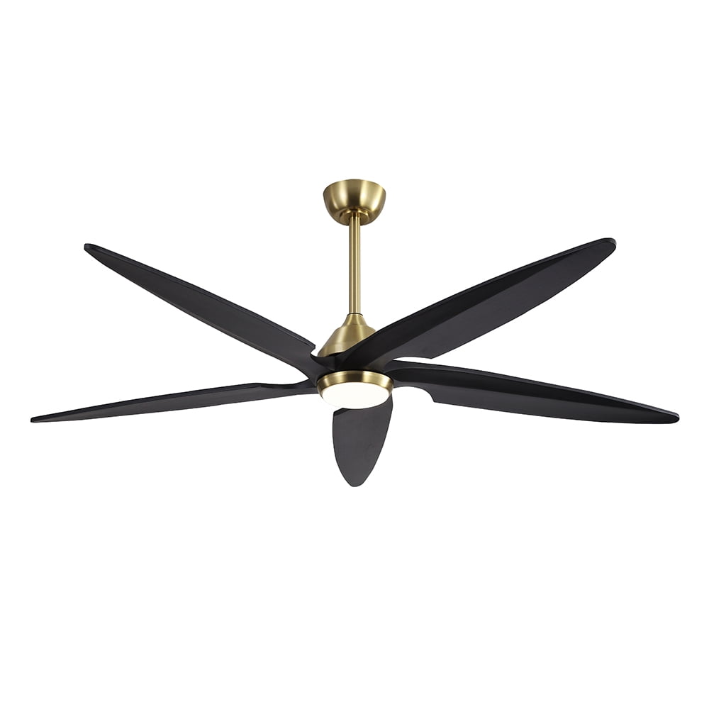 Black And Gold Indoor Ceiling Fan