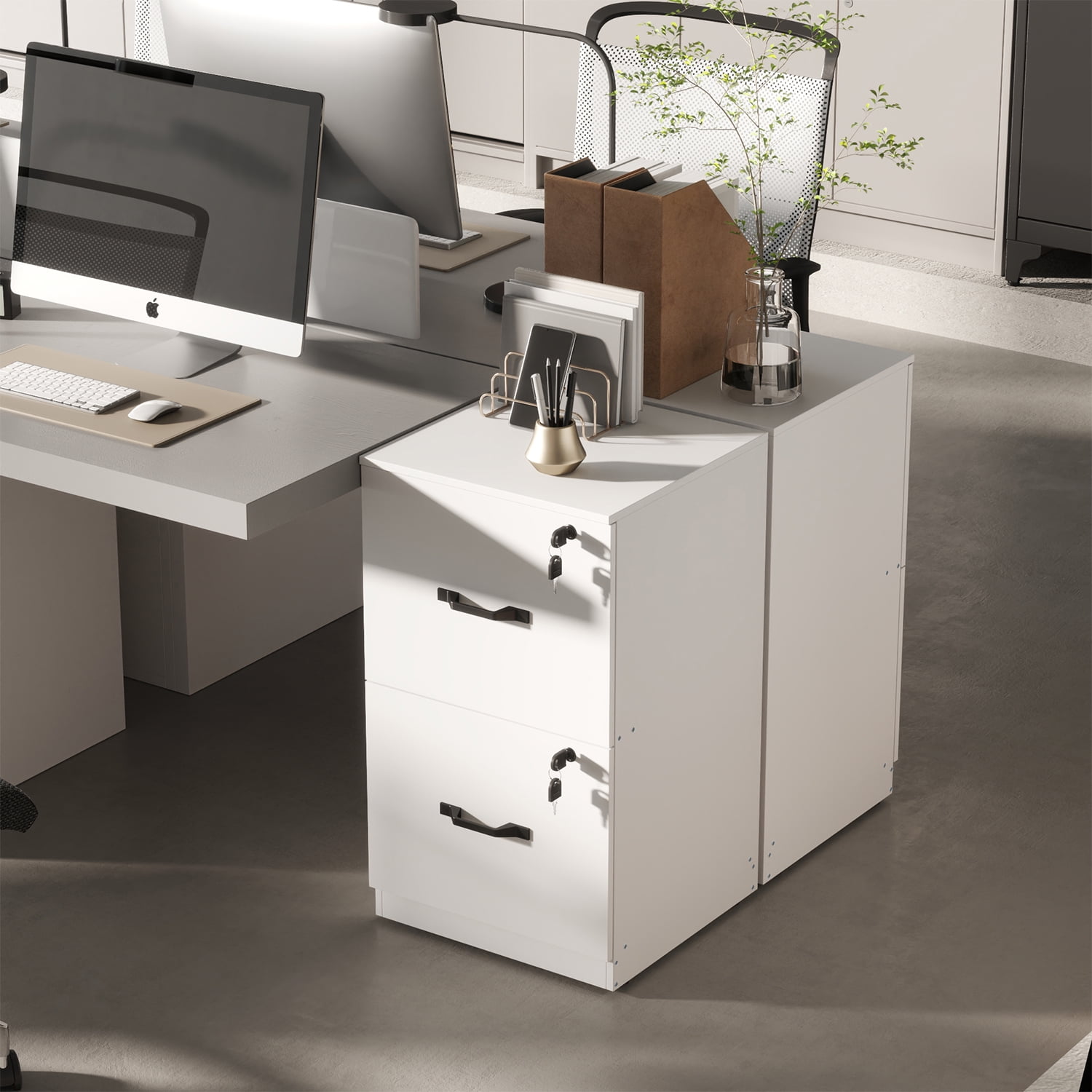 LEDREM 2-Drawer Lockable File Cabinet with Hanging Rails,Fits A4 ...