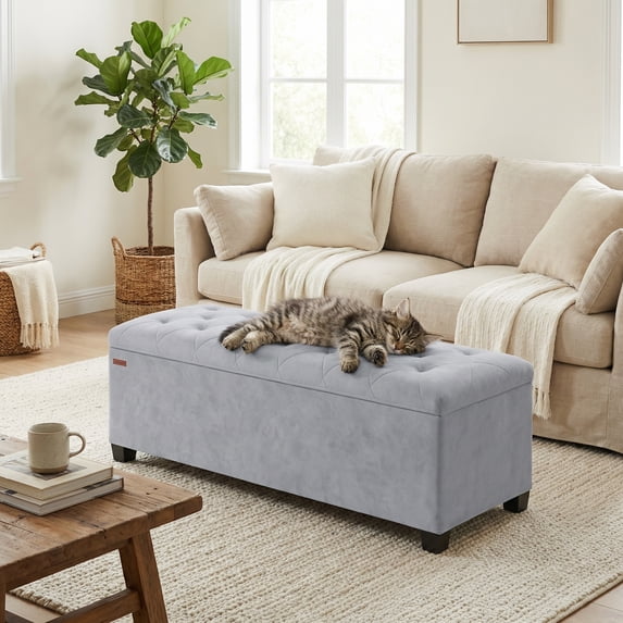 LEDREM 43-Inch Velvet Storage Ottoman Bench with Removable Cover, 660LB Capacity Multi-Functional Footrest for Living Room & Bedroom, Dove Gray