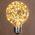 thumbnail image 1 of LEDimagine G80 Fairy Light Bulb, 50 Warm White LED Diodes Inside, Clear Glass Finish, E26 Base, 1 of 6