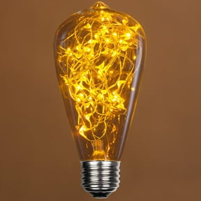 LEDimagine ST64 Fairy Light Bulb, 50 Gold LED Diodes Inside, Clear Glass Finish, E26 Base