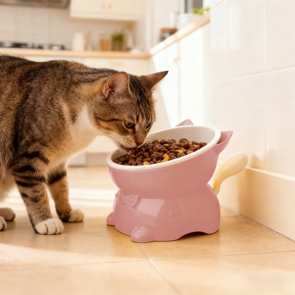 LEFXSMR Dog Bowls, Spill-proof Pet Cat Feeder for Drinking & Feeding, Stainless Steel Cat Water Bowl for Pets Home Use, Pink