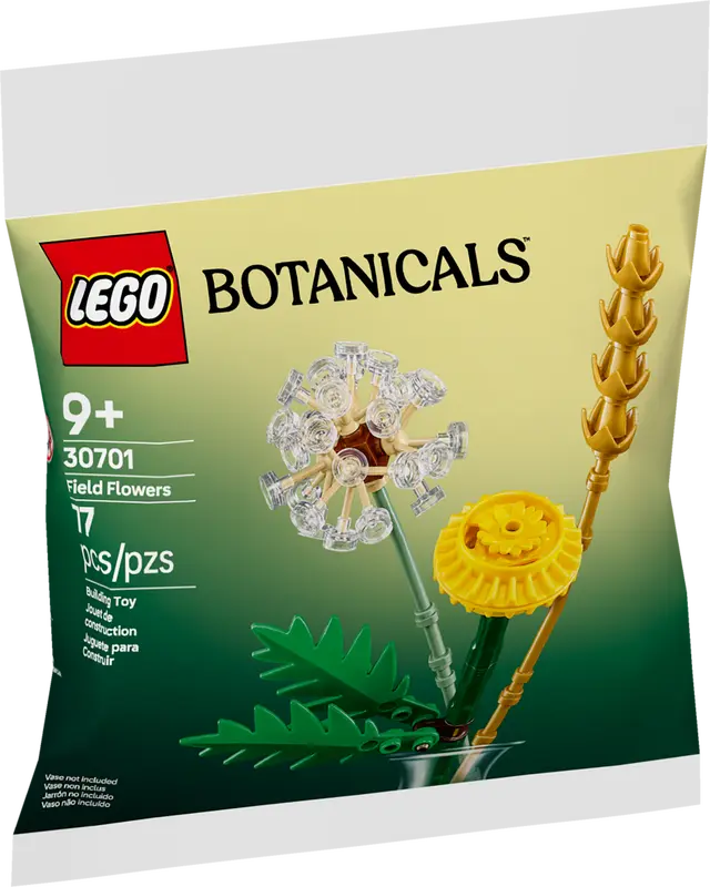LEGO 30701 Botanicals Field Flowers Building Kit - Wildflower Posy for ...