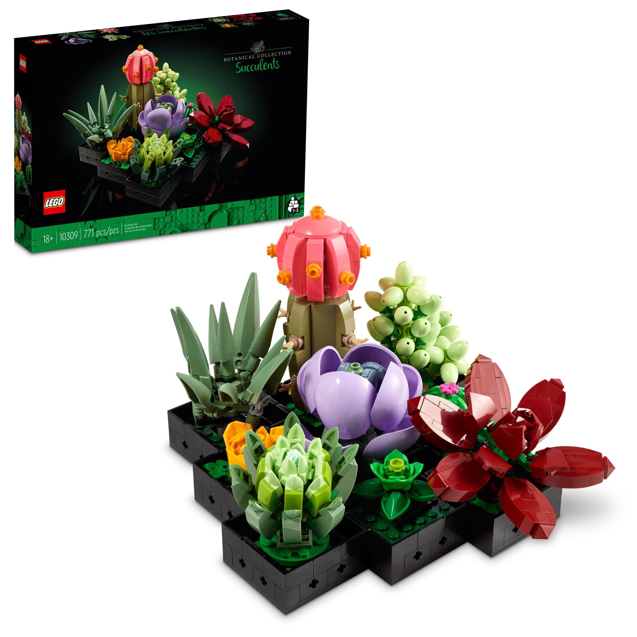 LEGO Icons Succulents Artificial Plant Set for Adults, Valentine Décor for  Him and Her, Creative Gift for Valentines Day, Birthday or Housewarming