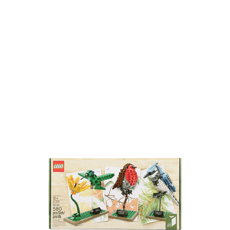 LEGO Ideas Birds 580 Piece Building Set 21301