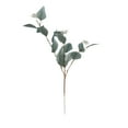 thumbnail image 1 of LEHOZIHEQ Artificial Eucalyptus Leaves Stems, Artificial Plant Decoration, for Vase Filling Home Decoration Flowers Wedding Holiday Arrangement, 1 of 6