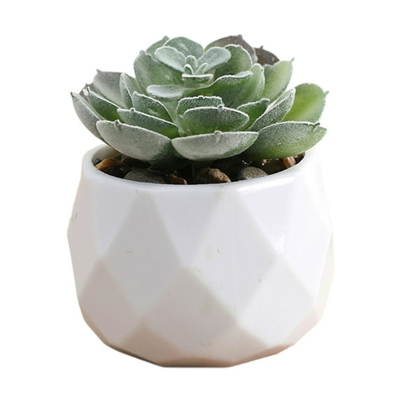 LEHOZIHEQ Artificial Succulents in Pots, Office Desk Accessories Fake Plants, for Living Room Home Bathroom Office Decor Decor Gifts Faux Plant