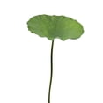 thumbnail image 1 of LEHOZIHEQ Lily Pad for Ponds, Artificial Lotus, Realistic Water Floating Foam Lotuses Fake Lily Pad for Home Garden Patio Pond, 1 of 6
