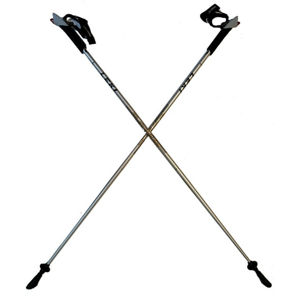 LEKI Nordic Walker Platinium Limited Edition Carbon Series 125cm Silver