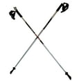 thumbnail image 1 of LEKI Nordic Walking Pacer Ultra Lightweight HM Carbon 110cm Silver, 1 of 4