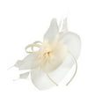 thumbnail image 1 of LEKODE Feather Hair Clip Feather Headband Tea Party Accessories for Women Fancy Hats for Women Tea Party Fascinators for Women Tea Party Hats for Women White 2 One Size, 1 of 7