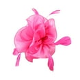 thumbnail image 1 of LEKODE Hats for Tea Party Fascinator Hat Party Hats Fascinators Hats for Women High Tea Hats for Women Feather Hair Clip Tea Party Hats for Women Hot Pink One Size, 1 of 3