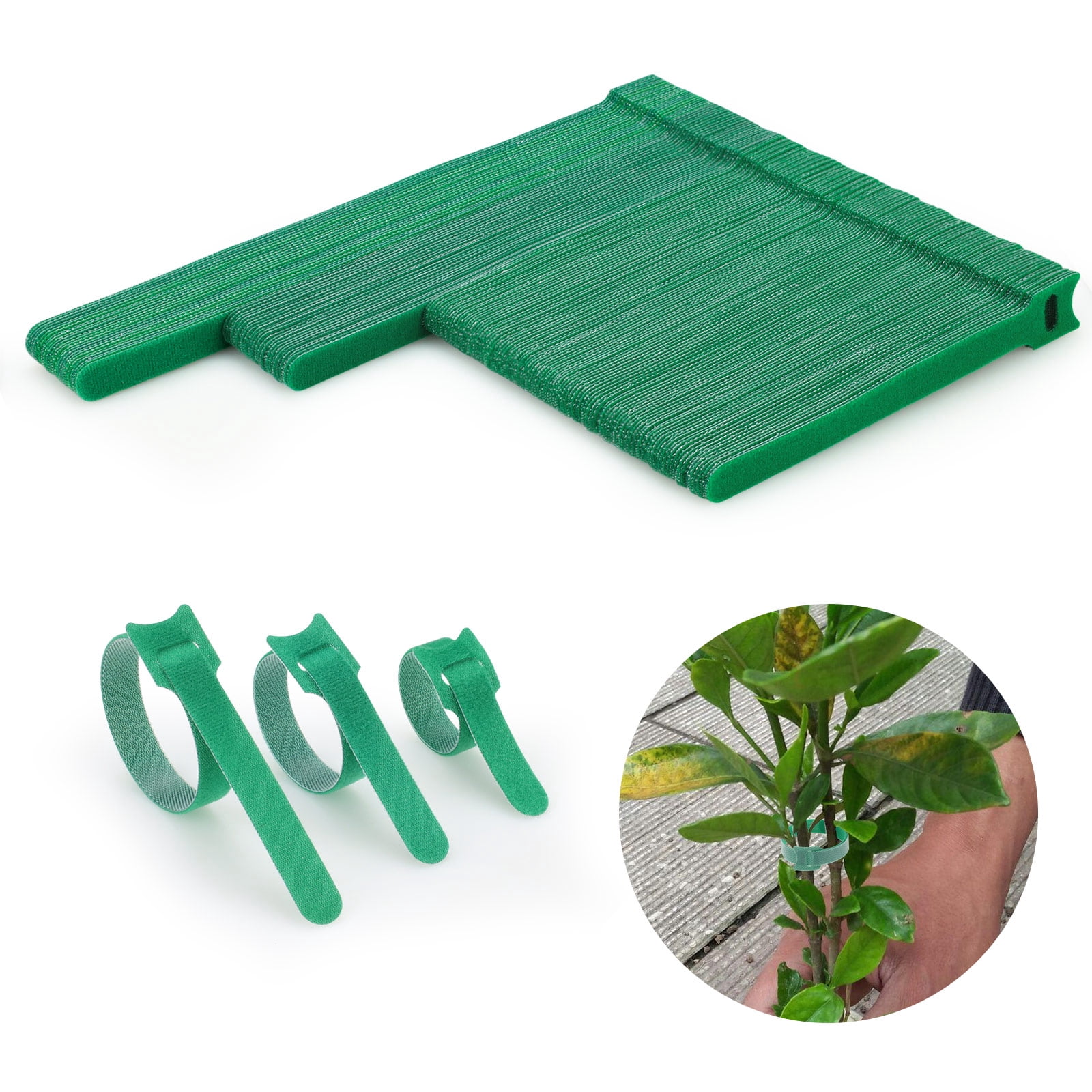 LELE LIFE 150 Pack Reusable Plant Ties, Hook and Loop Green Garden ...