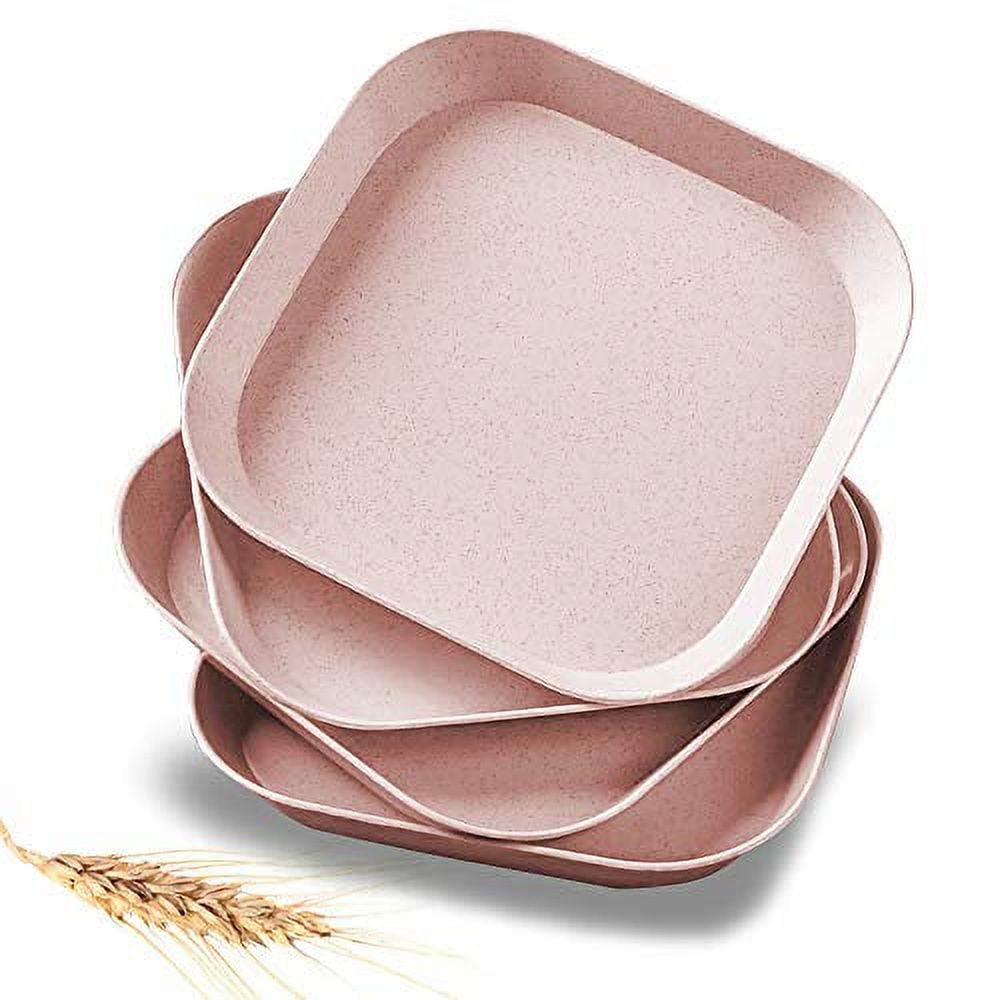  5.9 Inch Appetizer Dinner Plates, Small Serving Cake