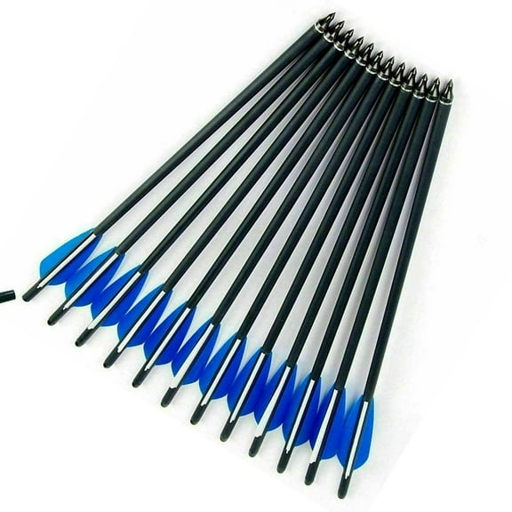 LELINTA 12pcs/set 20inch Carbon Crossbow Bolts Arrow 12 Grain Screw Tips Archery Hunting Archery Arrows Kit for Outdoor Hunting, Archery Target Shooting Practice