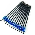 thumbnail image 1 of LELINTA Hunting Crossbow Archery 20 Inch Spine Carbon Arrows Used with 4-Inch Vanes For Traditional Bow Practice Crossbow Bow Hunting Shooting, 1 of 8