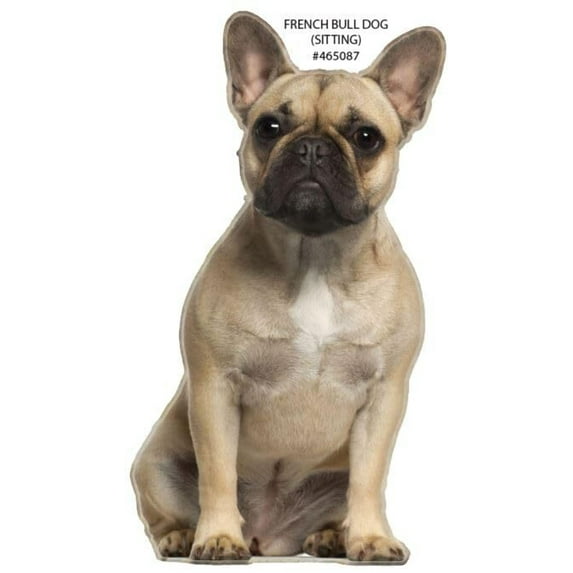 LEMONSODA Tom Collins Glasses (Bulk)