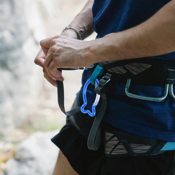 LEORX 15Pcs Blue Locking Carabiner Clip Aluminum Alloy for Traveling