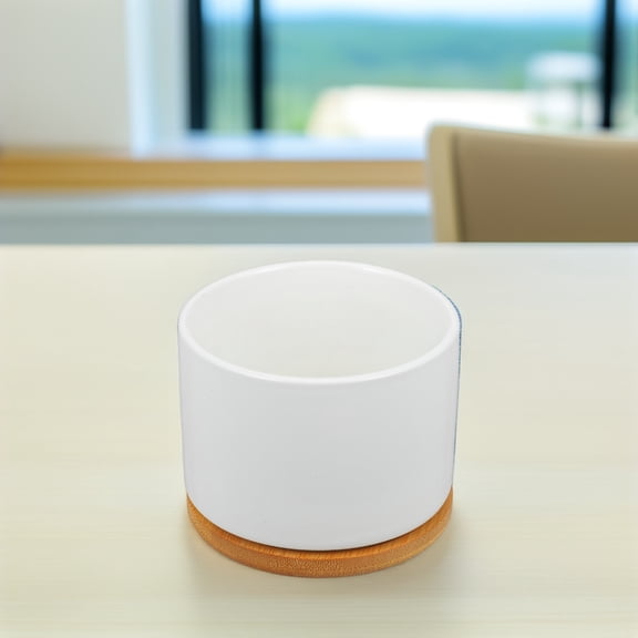 LEORX 1Pcs Creative Succulent Flowerpot White Round Home 3.5X3.5X2.8In