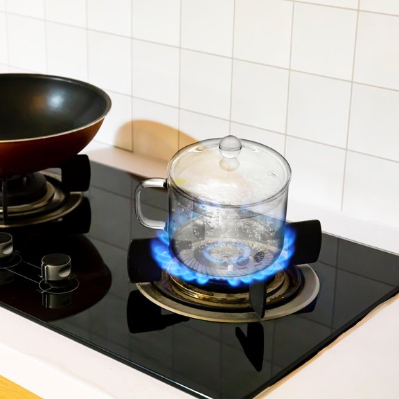 LEORX 1Set See Through Cooking Pots Borosilicate Glass for Noodle Cooking