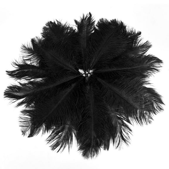 LEORX 20pcs Ostrich Ostrich Decorations Ostrich Feahers Black Ostrich S