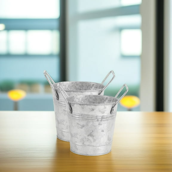 LEORX 2Pcs Rustic Galvanized Metal Buckets for Storage and Vintage Flower Display Indoor Outdoor