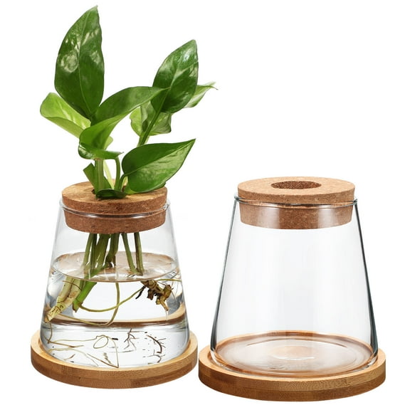 LEORX Glass Flower Vase Water Planting Glass Bottles Elegant Design 2Pcs