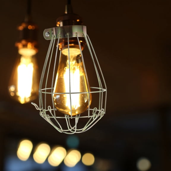 LEORX 4 Pcs Vintage Bulb Cover Metal Wire Lamp Cage Industrial Pendant Light