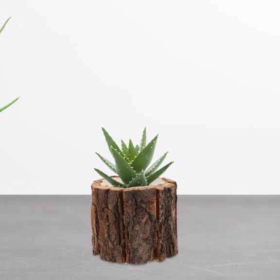 LEORX 4Pcs Wood Flower Container Bark Flower Pot Small Wooden Bucket Barrel Planters