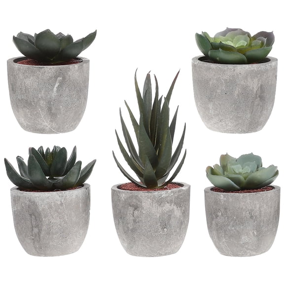 LEORX 5Pcs Plants Artificial Decor Assorted Color Plastic Quiet and Elegant Look