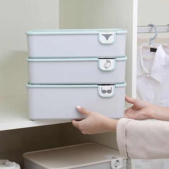 LEORX Blue Storage Box for Socks PP Closet Storage for Household Users 1Pcs