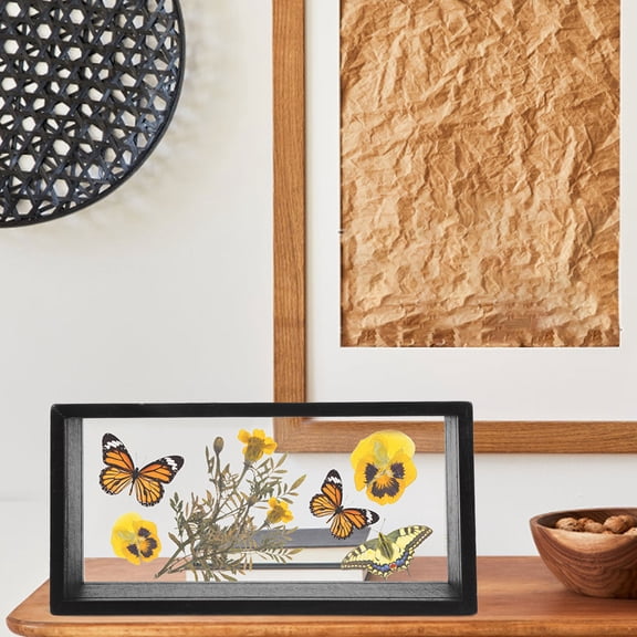 LEORX Sturdy Black Floating Acrylic Frame for Artistic Pressed Flower Display