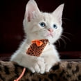thumbnail image 1 of LEORX Cat Toy Kitten Plush Orange for Daily Entertainment 1Pcs, 1 of 8