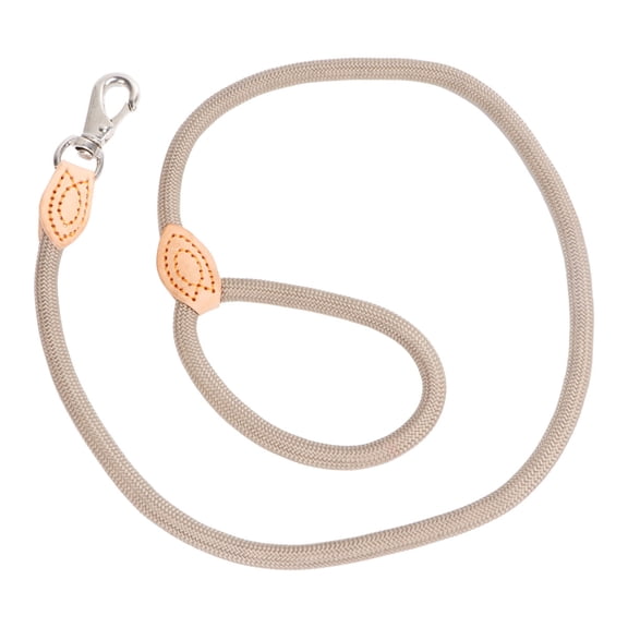 LEORX Dog Leash Heavy Duty Nylon Khaki Strong Grip for Pet Owners 1Pcs