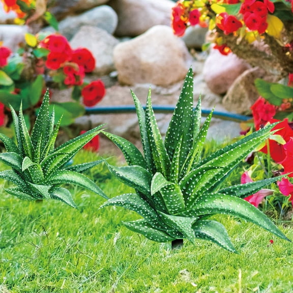 LEORX Garden Plaques Stake Acrylic Lawn Adornment 1Pack