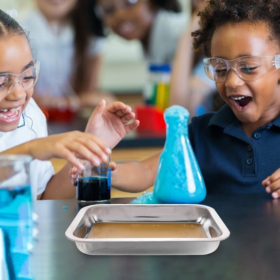 LEORX Measurement Dissection Tray Silver for Teachers 1Pcs