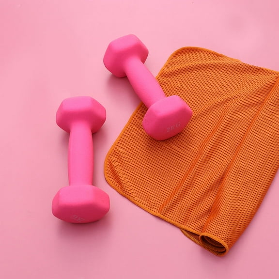 LEORX Yoga Dumbbells Pink Hexagonal Shape Grip for Home and Fitness Classes