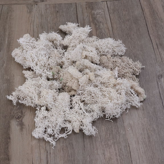 LEORX Pliable White Preserved Moss for Wedding Party Elegant Table and Plant Decoration