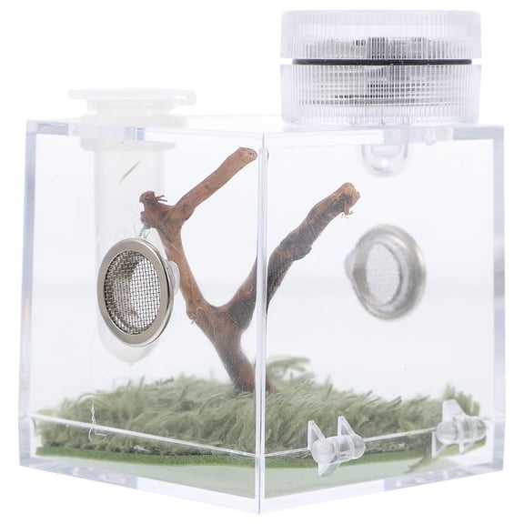 LEORX Spider Habitat Storage Box Micro Spider Carrier With Lamp Feeding For Easy Maintenance For Jumping Spiders And