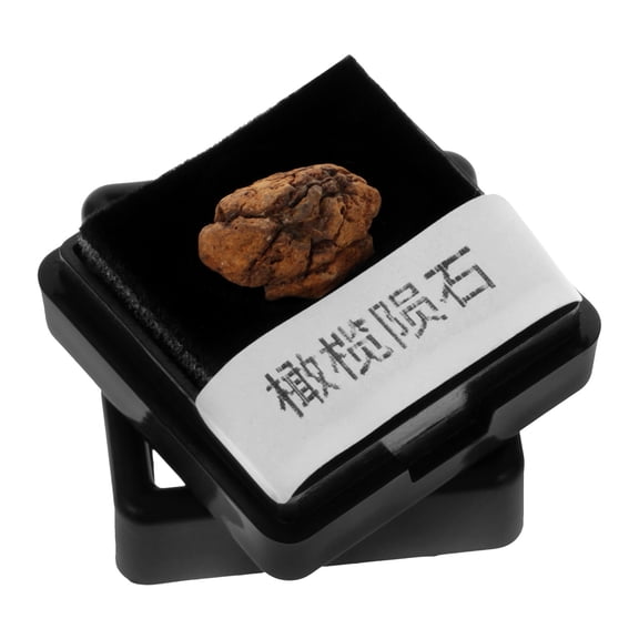 LEORX Teaching Specimen Meteorolite Model Multi Nickel-Iron 1Pack