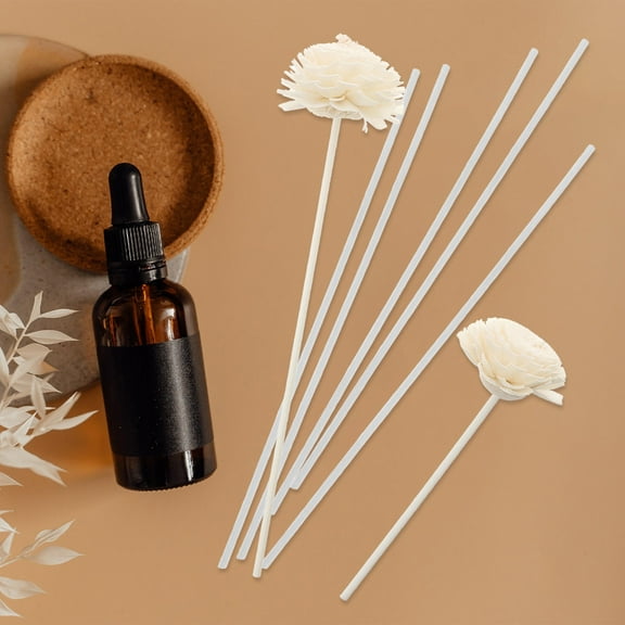 LEORX of Diffuser Reeds Sticks Fiber Home Decoration for Living Room