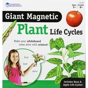 LER6045 - Giant Magnetic Plant Life Cycle Set, Set of 12 by Learning Resources
