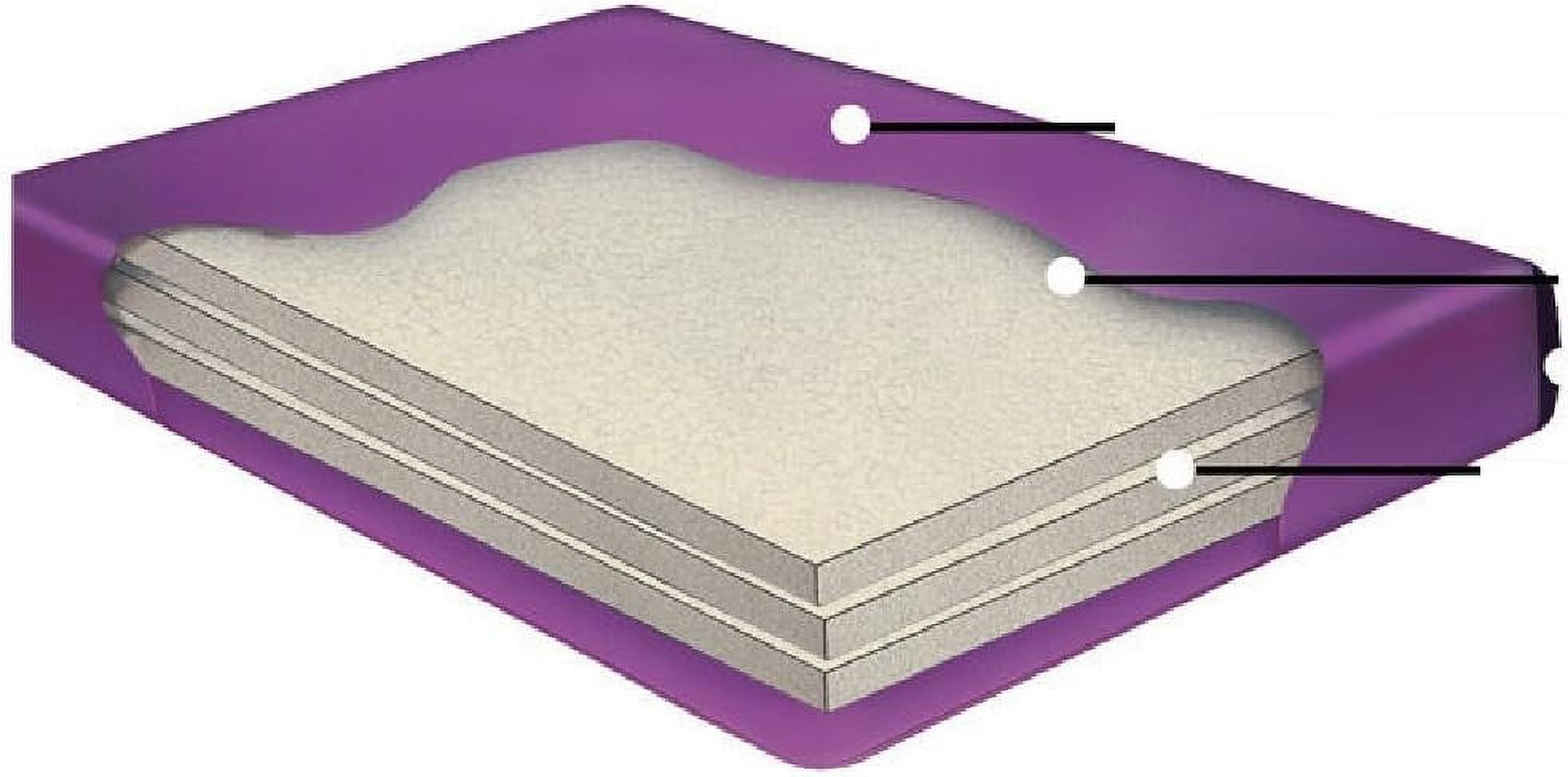 LESS WATERBED Mattress/Liner/Fill Drain/Conditioner KIT (Queen 60X84 Tranq3s2)