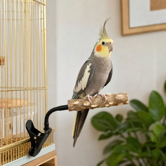 LEVEO Natural Wood Bird Perch with Flexible Clip, Sichuan Pepper Wood Parrots Standing Rest Toy, Cage Grinding Claw Station Accessory for Parakeet, Cockatiel, and Conure