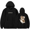 thumbnail image 1 of LEVITICUS FIRE Hoodie Unisex Hooded Sweatshirt Fashion 3D Printed Pullover Merch, 1 of 2